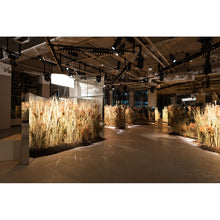 Load image into Gallery viewer, Rare COACH 1941 DINNER PLATES from FASHION WEEK DINNER 2015 by Fernando Aciar