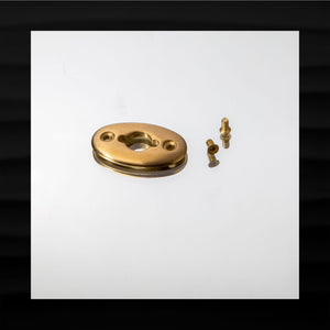 NEW COACH TURNLOCK BRASS PLATE SCREWS REPLACEMENT HARDWARE FOR WALLET BAG PURSE TOTE